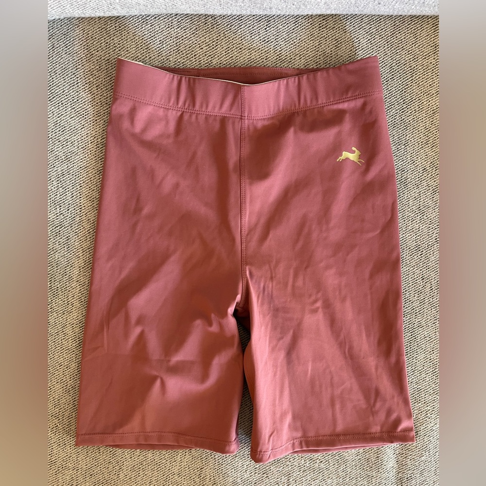 Tracksmith Allston Long Shorts - Rosewood